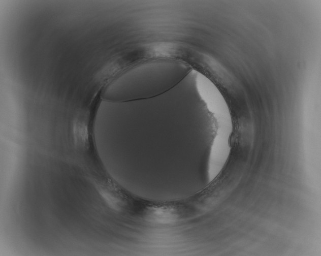 X0000111830500200908201154