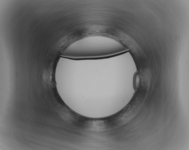 X0000111830501200908201154