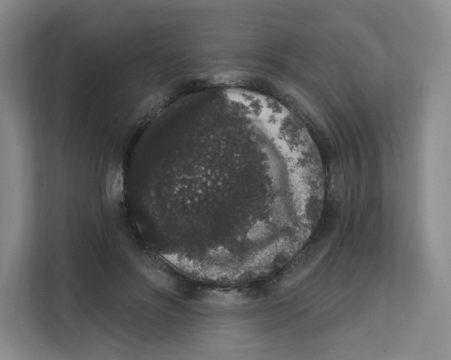 X0000111830502200908201154