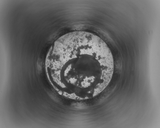 X0000111830503200908201154