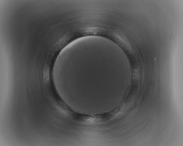 X0000111830504200908201154