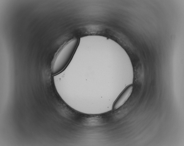 X0000111830505200908201153