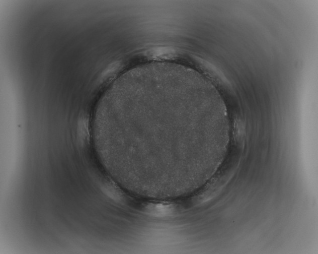 X0000111830506200908201153