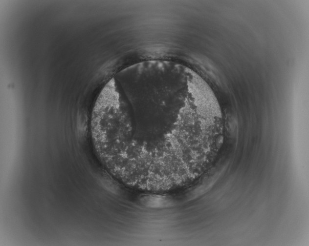 X0000111830507200908201153