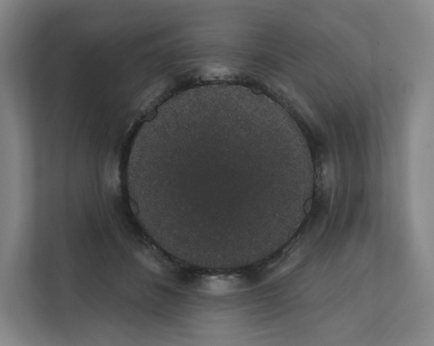 X0000111830508200908201153