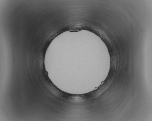 X0000111830509200908201153