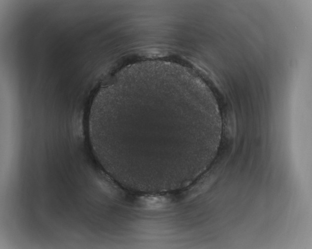 X0000111830512200908201153