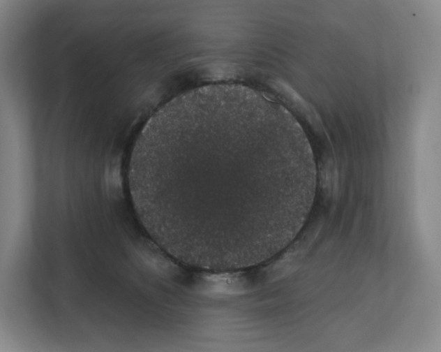 X0000111830516200908201153