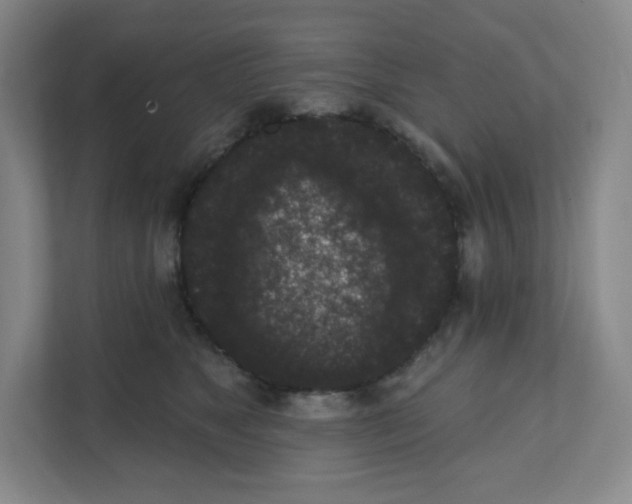 X0000111830517200908201153