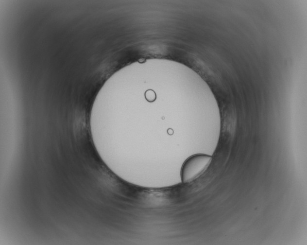 X0000111830518200908201153