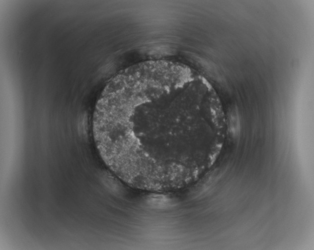 X0000111830519200908201153