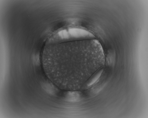 X0000111830520200908201153