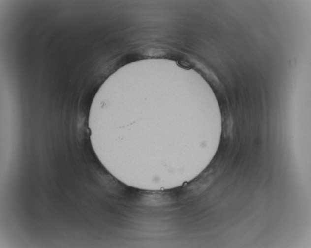 X0000111830521200908201153