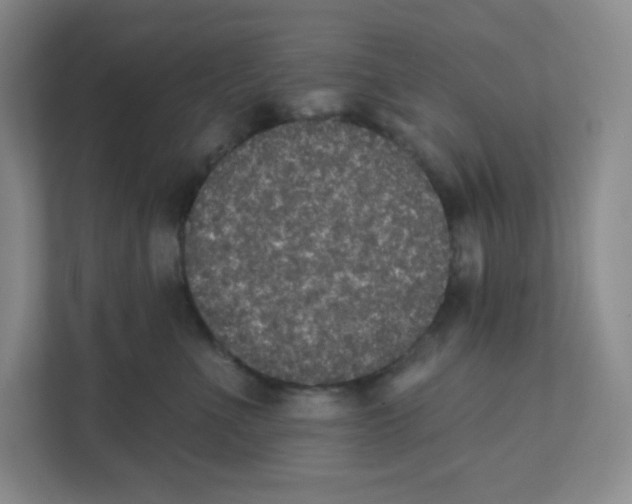 X0000111830523200908201153