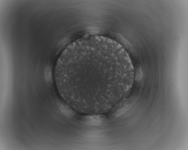 X0000111830524200908201153