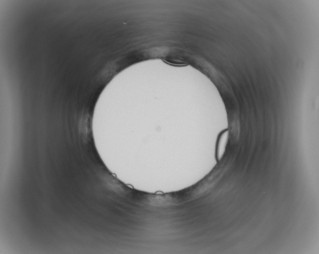 X0000111830525200908201153