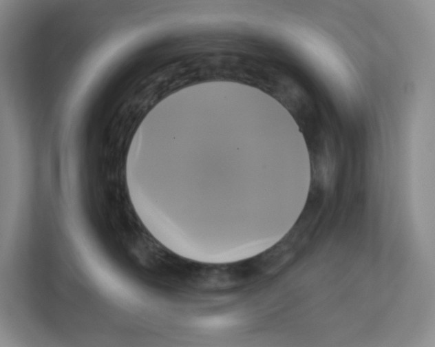 X0000111830526200908201153