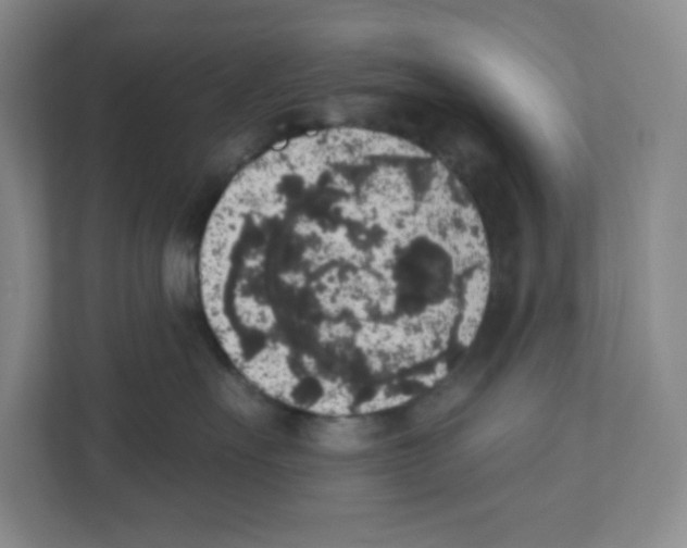 X0000111830527200908201153