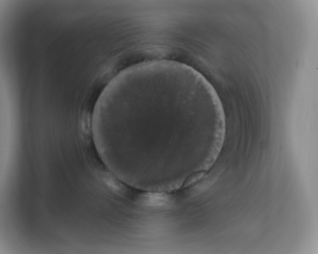 X0000111830528200908201153