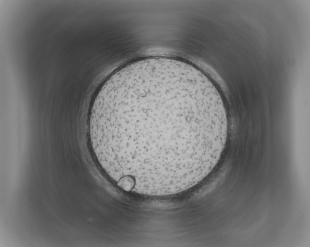 X0000111830529200908201153