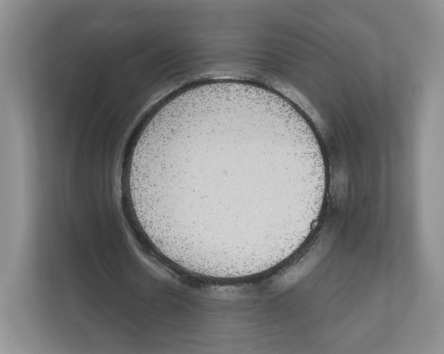 X0000111830530200908201153