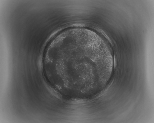 X0000111830531200908201153