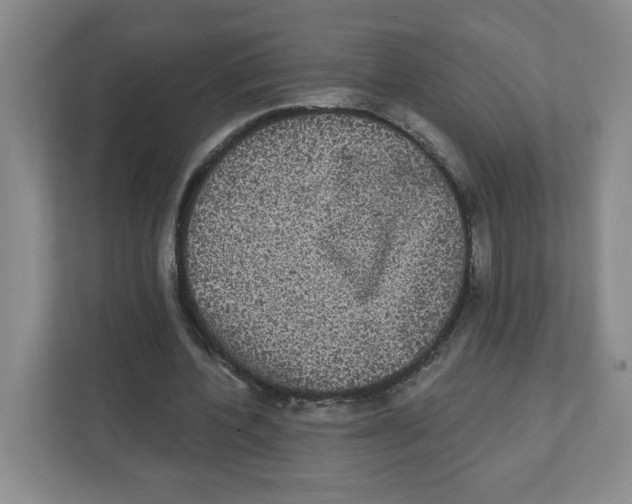 X0000111830532200908201153