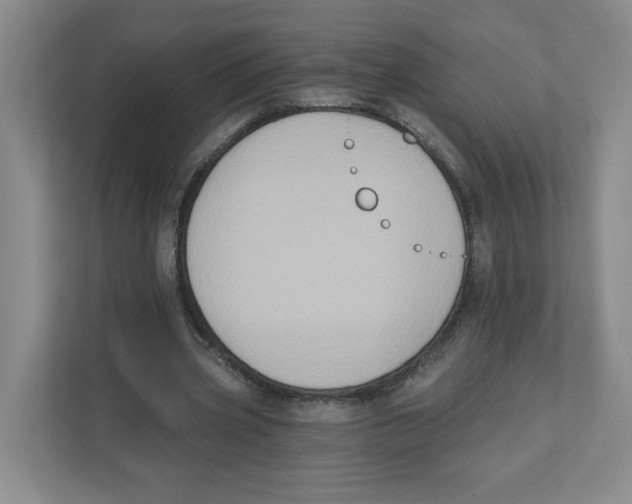 X0000111830533200908201153