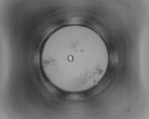 X0000111830534200908201153