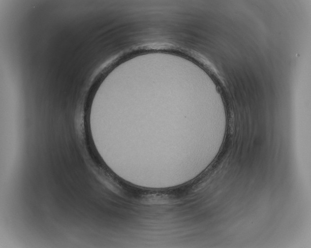 X0000111830535200908201153