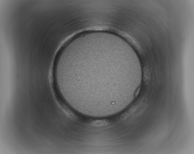 X0000111830536200908201153