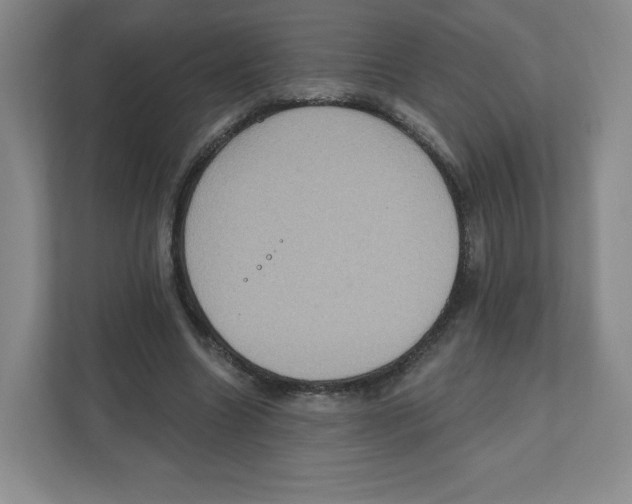 X0000111830538200908201153