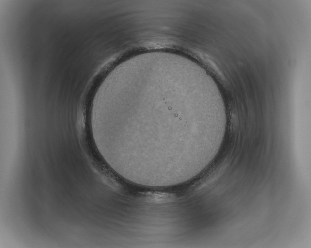 X0000111830539200908201153