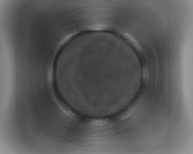 X0000111830540200908201153