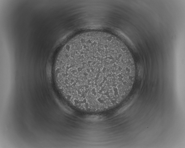 X0000111830542200908201153