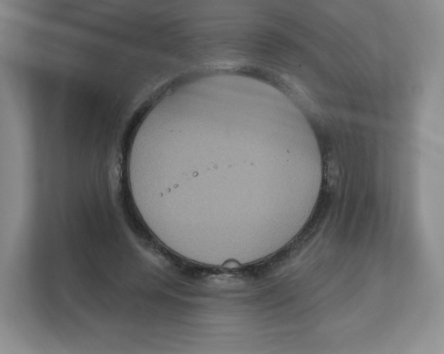 X0000111830544200908201153