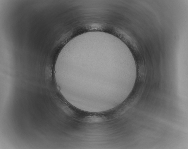 X0000111830545200908201153