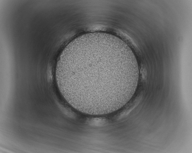 X0000111830546200908201153