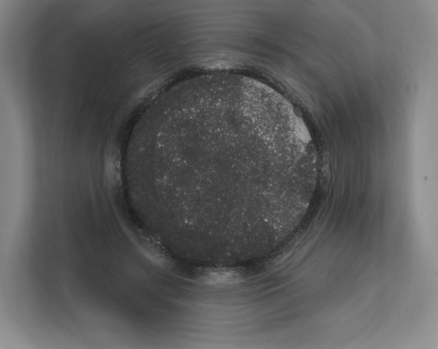 X0000111830547200908201153