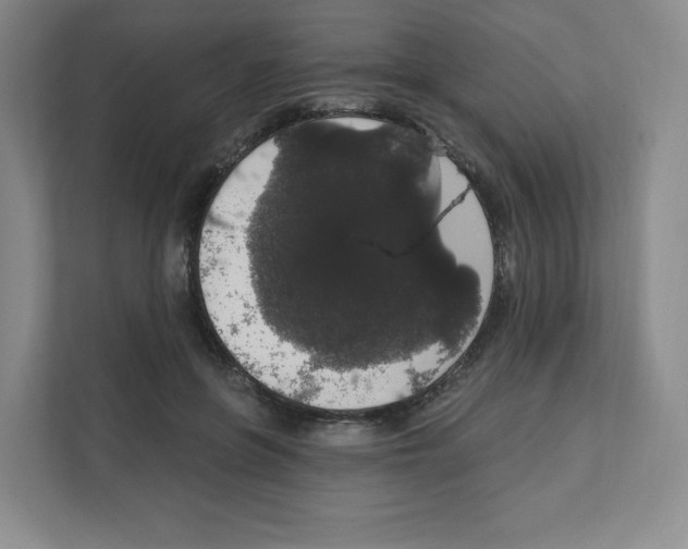 X0000111830551200908201153