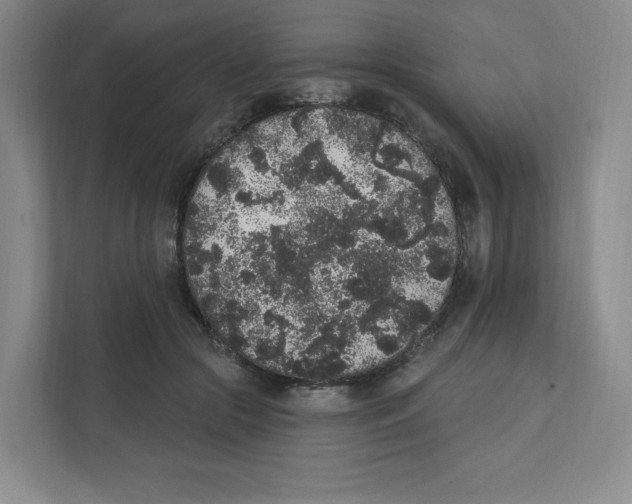 X0000111830553200908201153