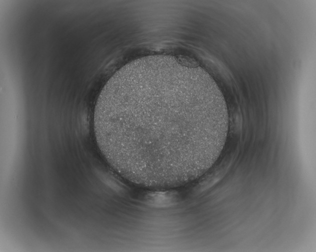 X0000111830558200908201153