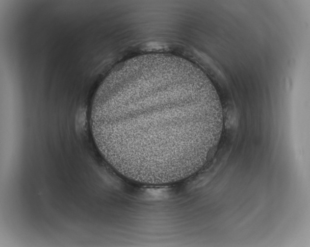 X0000111830560200908201153