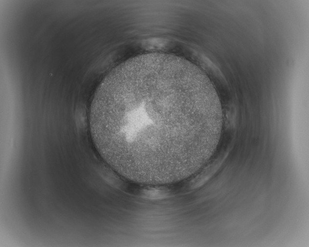 X0000111830561200908201153