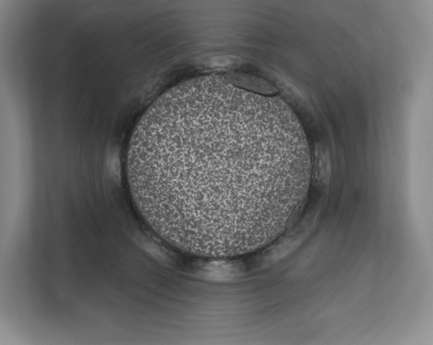 X0000111830562200908201153