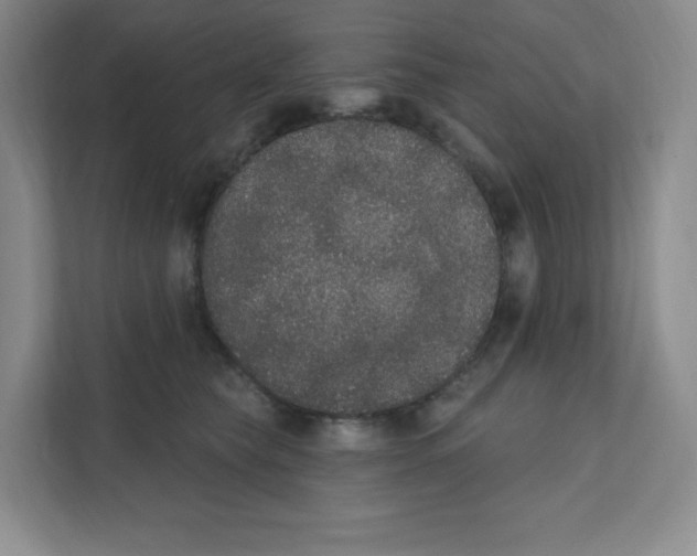 X0000111830565200908201153