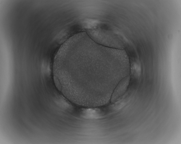 X0000111830566200908201153