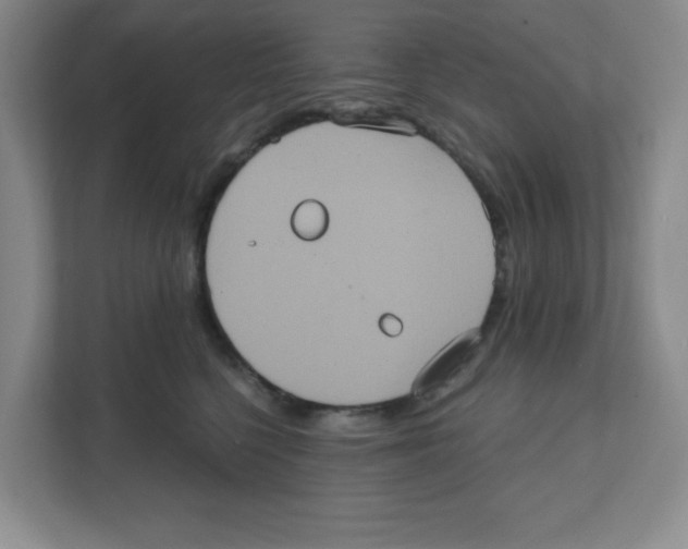 X0000111830568200908201153