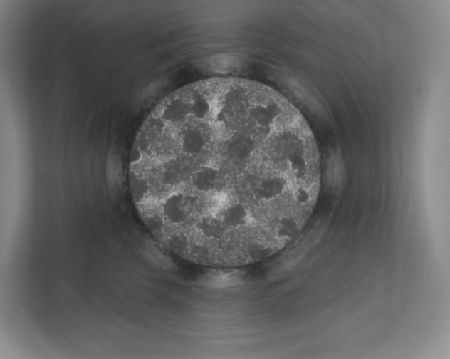 X0000111830569200908201153