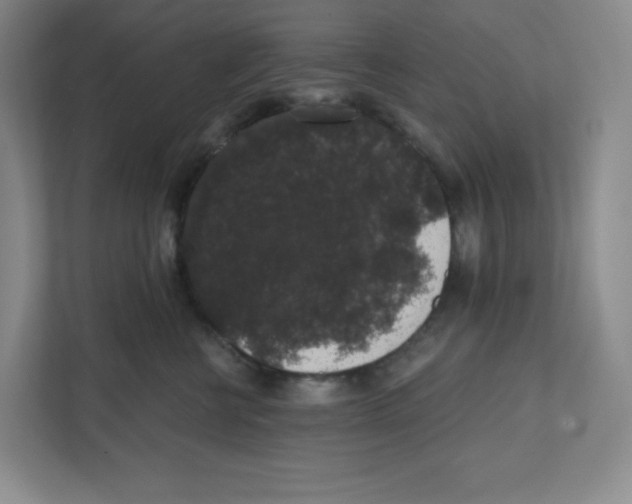 X0000111830570200908201153